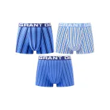 Blue Stripes