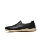 Black-All-Season