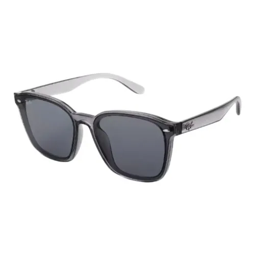 RayBan Plate Frame Oval Sunglasses Unisex Multicolor