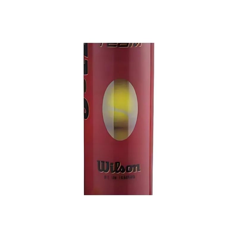 Wilson Team Practice Tennis Balls Training Ball Court 4 Pack Yellow-2
