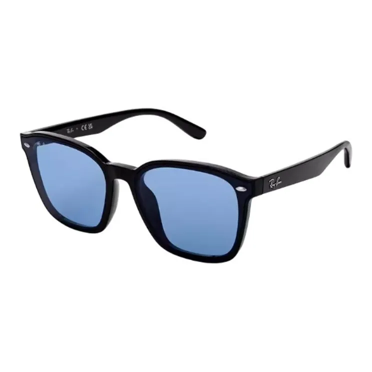RayBan Plate Frame Oval Sunglasses Unisex Multicolor-2
