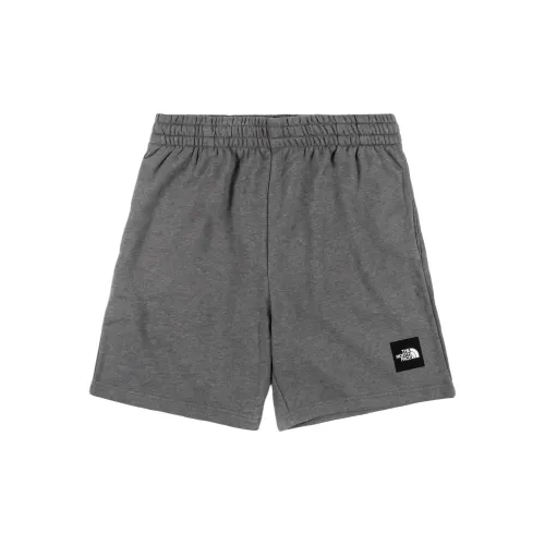 THE NORTH FACE Sports Shorts Men Gray