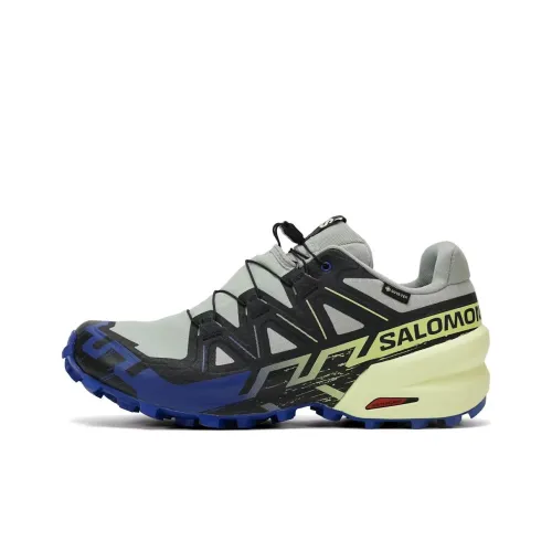 SALOMON Speedcross 6 Running Shoes Men Low-Top Gray