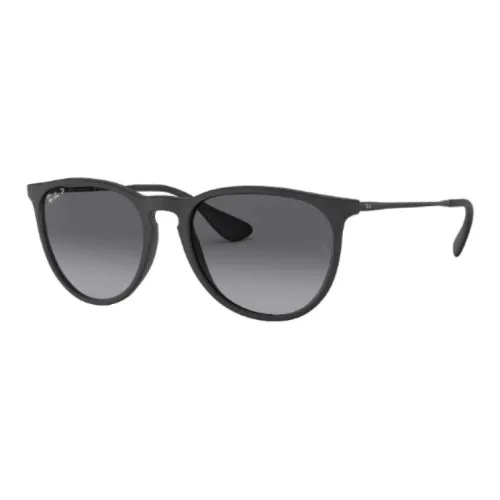 RayBan Plate And Metal Oval Sunglasses Women's