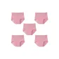 Pink+Pink+Pink+Pink+Pink-5 Pack