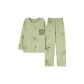 Avocado Green