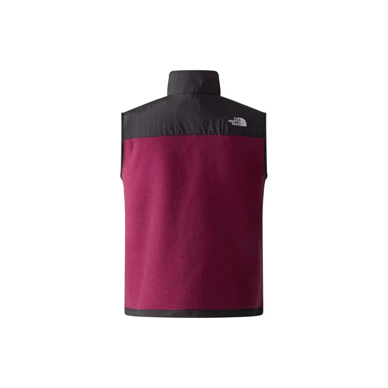 THE NORTH FACE DENALI Vest Men's Black Purple-1