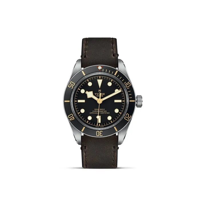 TUDOR Black Bay 58 M79030N-1
