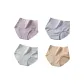 4 Pack (Purple+Blue+Light Green+Apricot)