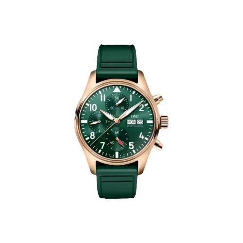 IWC Men Pilot Collection Watch