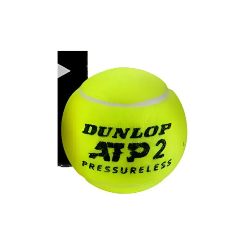 DUNLOP Atp Pressureless Tennis Balls Training Ball Sports Yellow-2