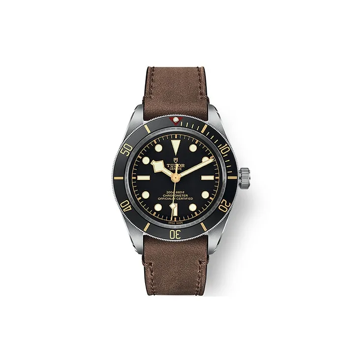 TUDOR Black Bay 58 M79030N-0