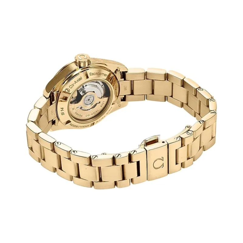 OMEGA Seamaster Aqua Terra 231.55.30.20.55.002-3
