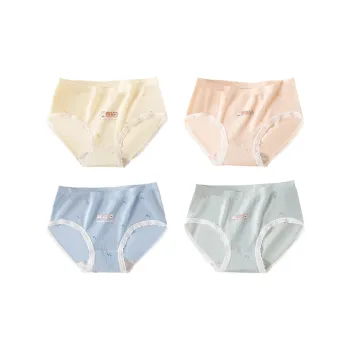 PLANDOO Underpants Women's 4 Pack