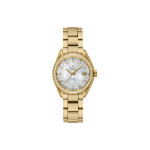OMEGA Seamaster Aqua Terra 231.55.30.20.55.002
