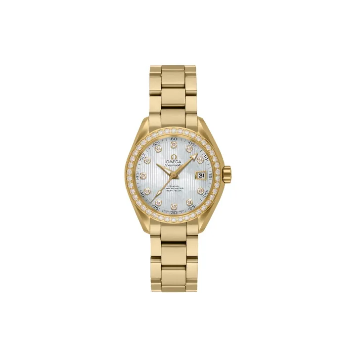 OMEGA Seamaster Aqua Terra 231.55.30.20.55.002-0