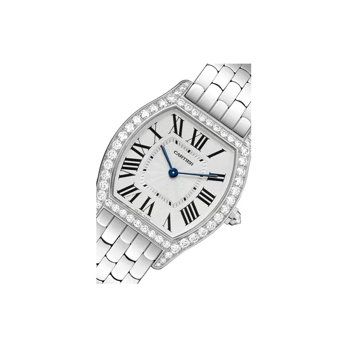 Cartier Tortue WA501013-1