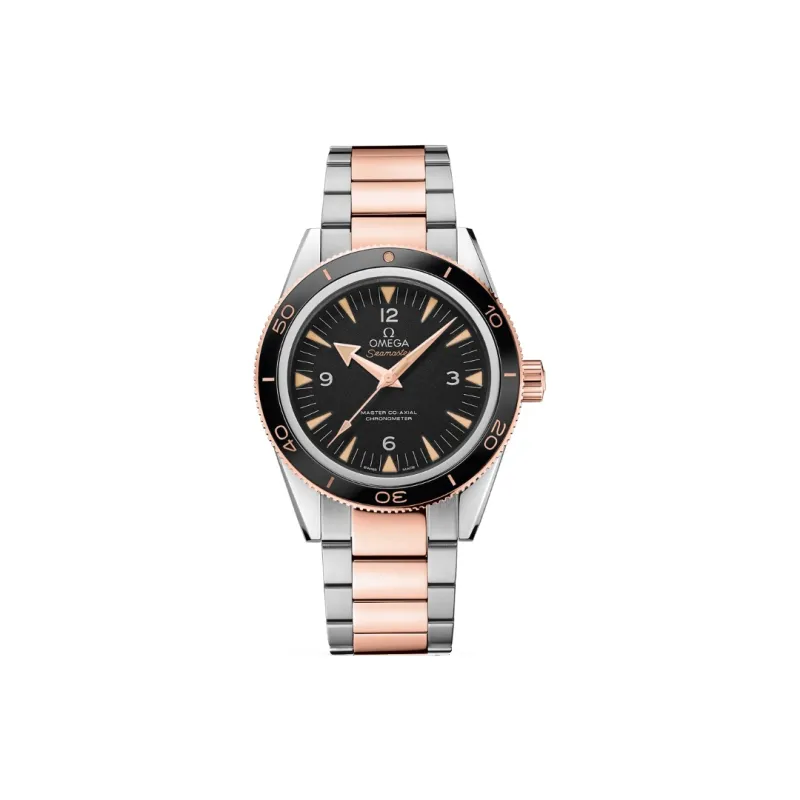 OMEGA Seamaster 233.20.41.21.01.001-0