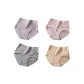 4-Pack (Purple+Pink+Gray+Apricot)