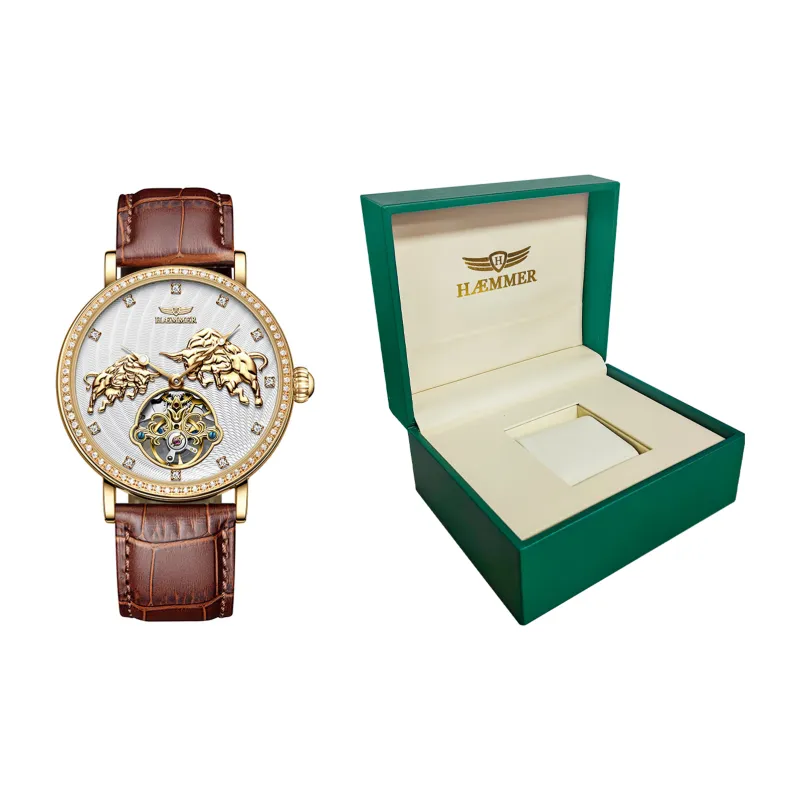 HAEMMER Men Watch-1