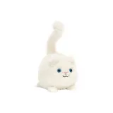 Cream Kitten