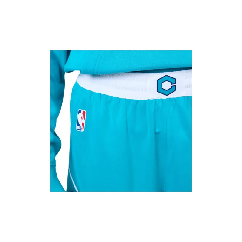 Jordan Hornets Team ICON Edition 2020 NBA Basketball Shorts Men's Blue Green-4