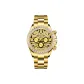 Gold Case White Bezel Gold Dial Steel Band