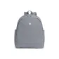 Light Gray Blue