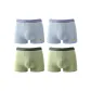 Gray Blue-Gray Blue-Fruit Green-Fruit Green