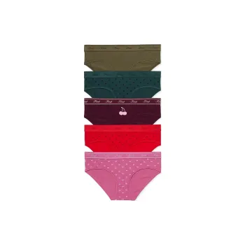 Victoria's Secret PINK 5-PACK NO-SHOW CHEEKY PANTIES / Fall Fashion Pack Underpants Women's 5 Pack Multicolor