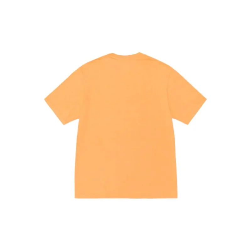 Stussy Pigment Dyed Rasta Lion Tee-9