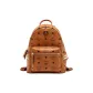 Bag+Dust Bag