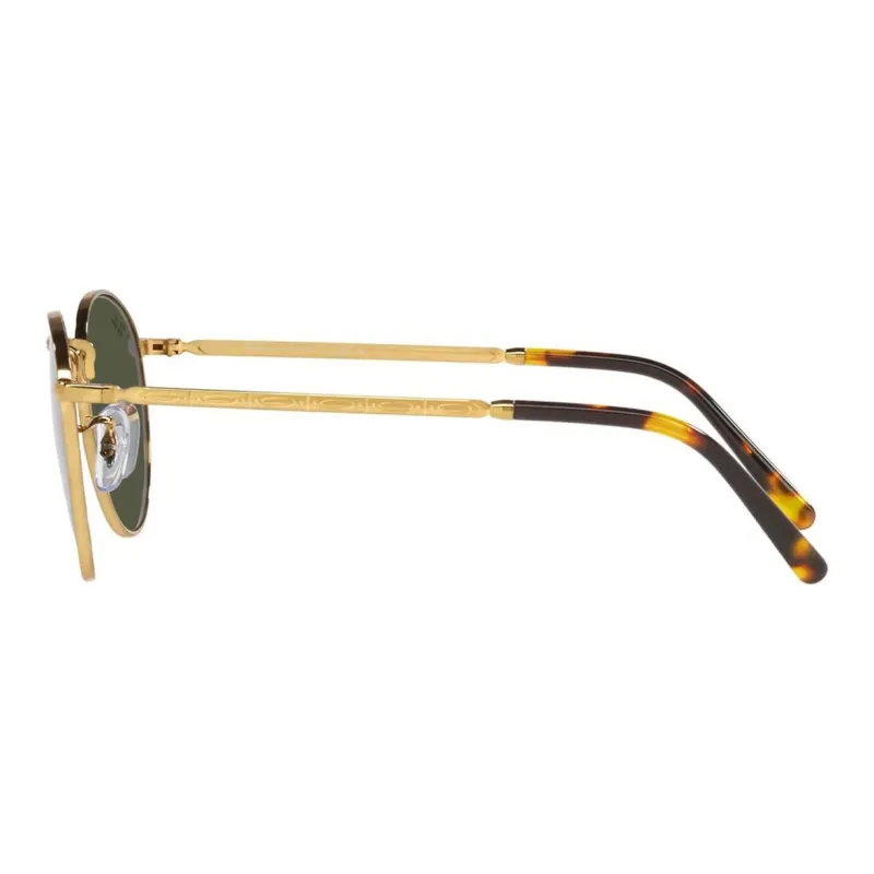 RayBan Round Frame Sunglasses-2