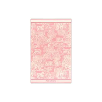 DIOR Cotton Knit Scarves Women's Pink