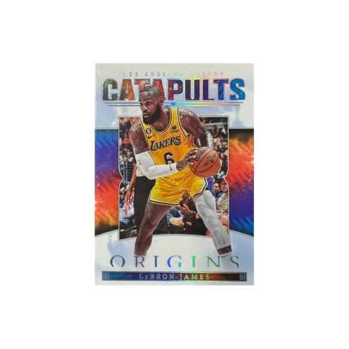 PANINI James, Origin, Holographic Card Sports Cards 1 Pc