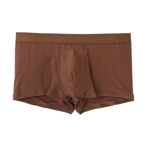 CALVIN KLEIN Underpants Men 1 Pack Brown
