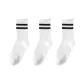 3 Pack-White Double Stripe