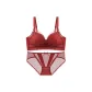 Burgundy Bra+Burgundy Underpants