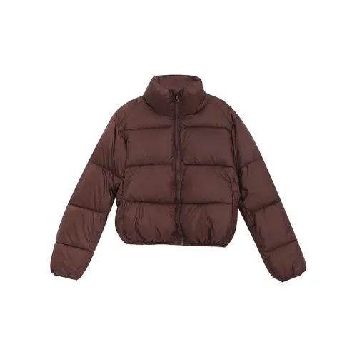 Local Gal Puffer Jackets Women's