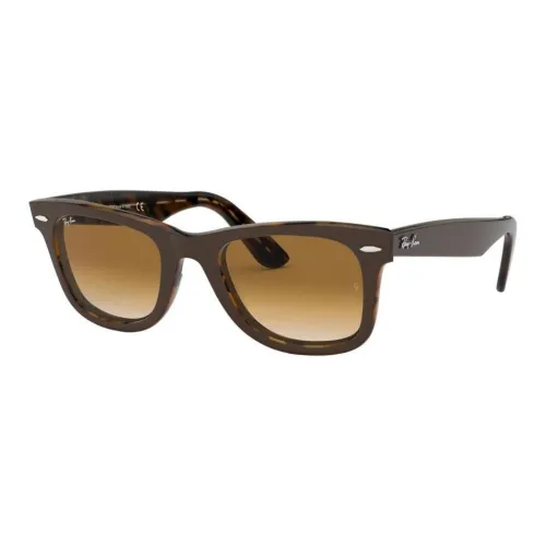 RayBan Acetate Square Sunglasses Unisex Brown