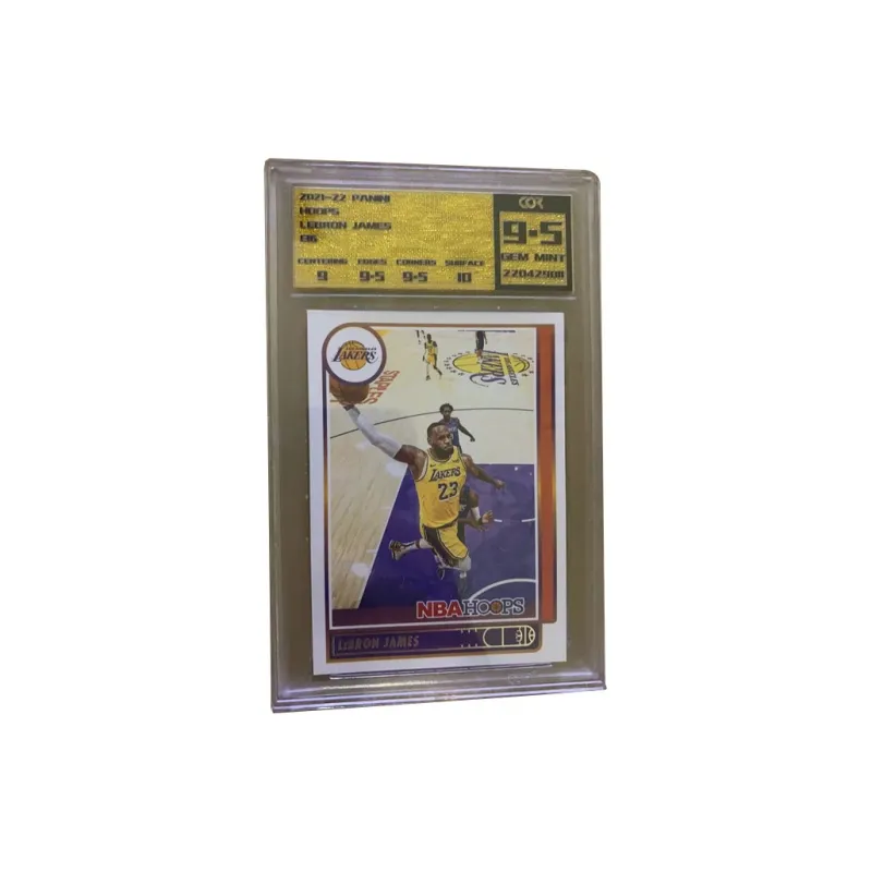 PANINI LeBron James 2021-22 Hoops Coor 9.5 Minutes Graded Cards 1 Pc-0