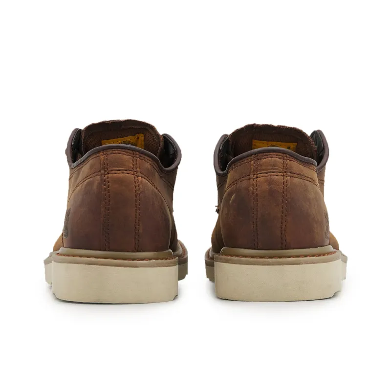 CAT Men's Casual Shoes Men Low Top-2