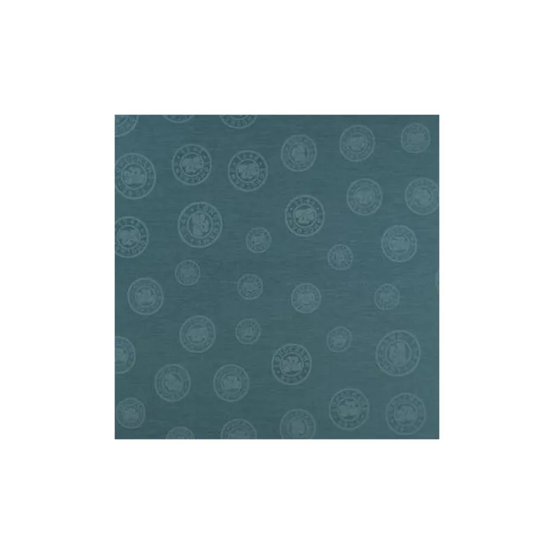 LONGCHAMP Cotton Shawls Women's Blue-1