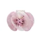 Pink HFS2406029PI