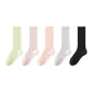 Aqua Green 1+Gray Purple 1+Pastel Pink 1+Light Purple 1+Black 1