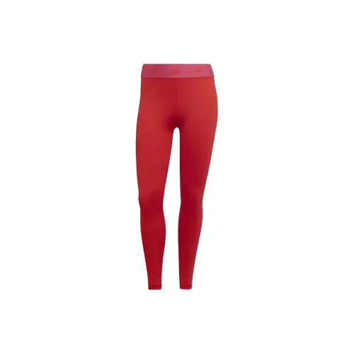 Adidas Sports Pants Women's Bright Red/Team True Magenta