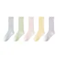 Light Gray 1+Light Green 1+Light Pink 1+Yellow 1+Purple 1