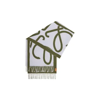 LOEWE Knit Scarves Women's Light Blue/Green