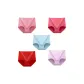 MY-591/Shrimp Red+Melon Red+Blue+Red+Pink/5 Pack
