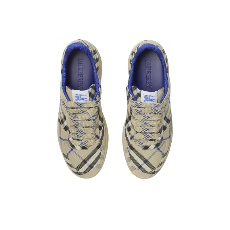 Burberry Low Top Skateboard Shoes Men's Blue-3